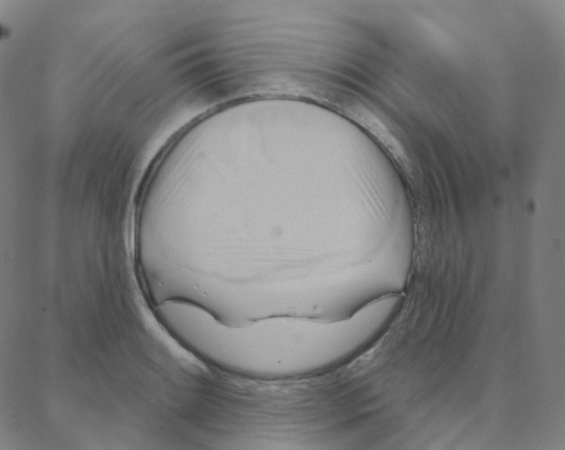 X0000088381084200706191302