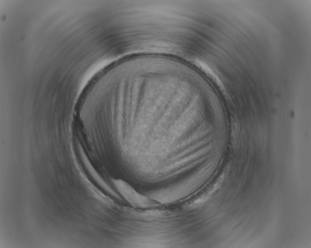 X0000088381085200706191302