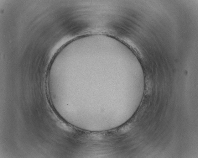 X0000088381086200706191302