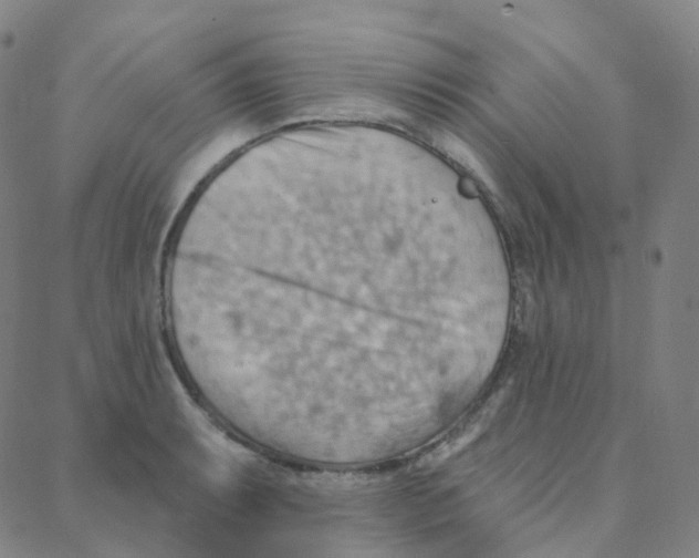 X0000088381087200706191302