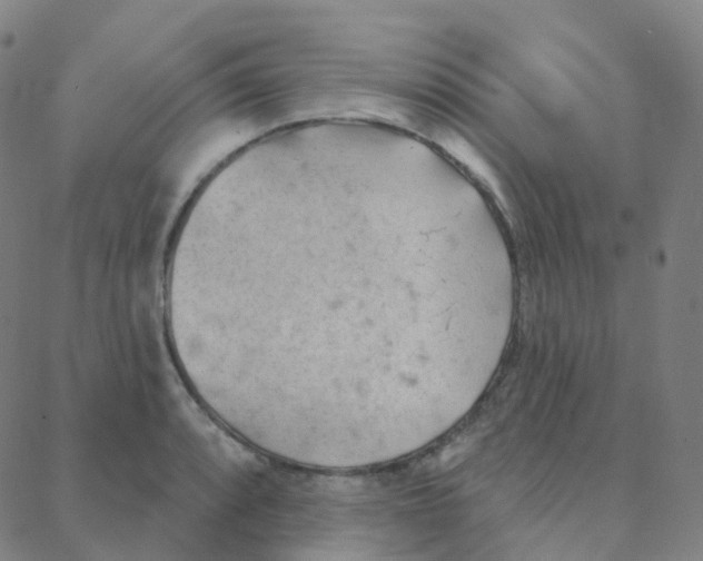 X0000088381088200706191302