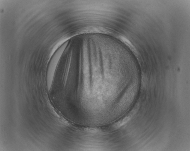 X0000088381089200706191302