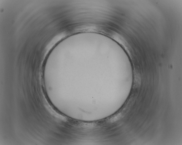 X0000088381090200706191302