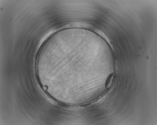 X0000088381091200706191302