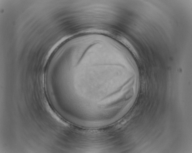 X0000088381092200706191302