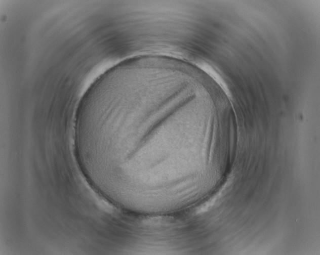 X0000088381093200706191302