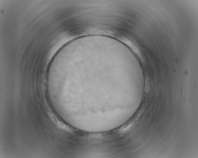 X0000088381094200706191302