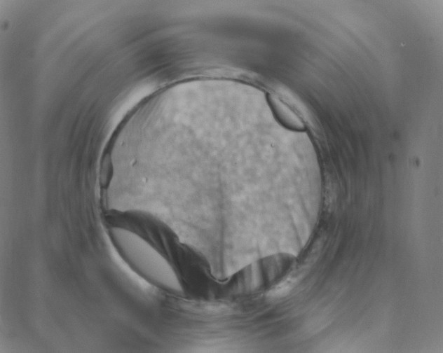 X0000088381095200706191302