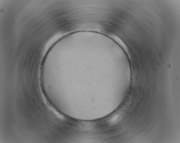 X0000088381096200706191302