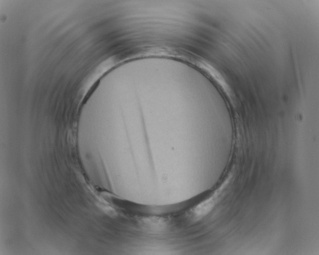 X0000088381097200706191302