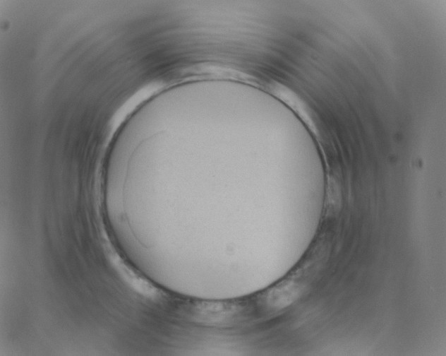 X0000088381098200706191302