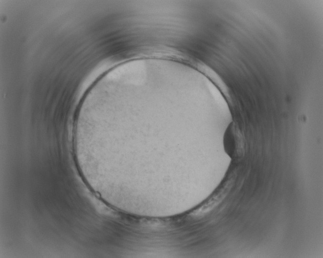 X0000088381099200706191302