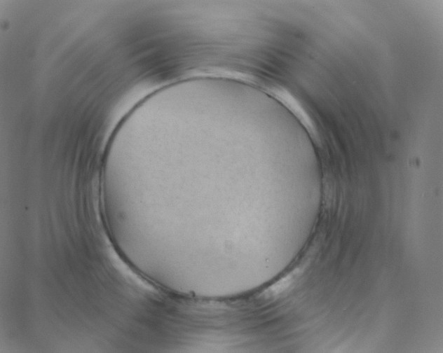 X0000088381100200706191302