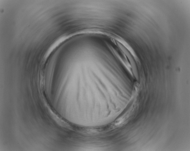 X0000088381101200706191302