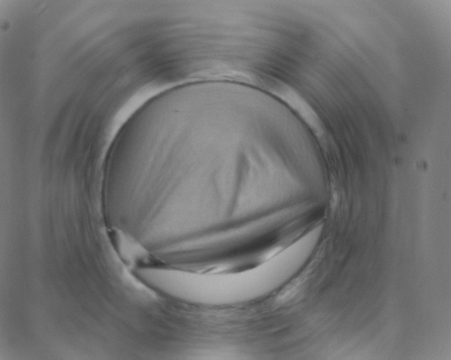 X0000088381102200706191302