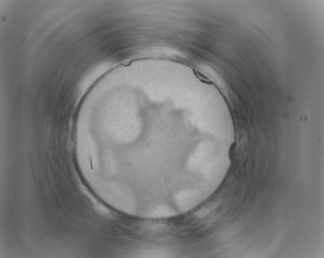 X0000088381103200706191302