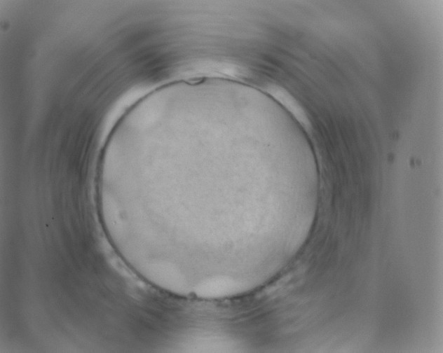 X0000088381104200706191302