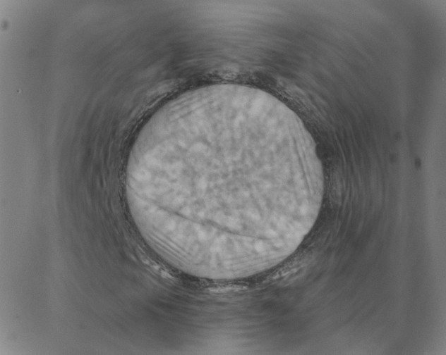 X0000088381105200706191301