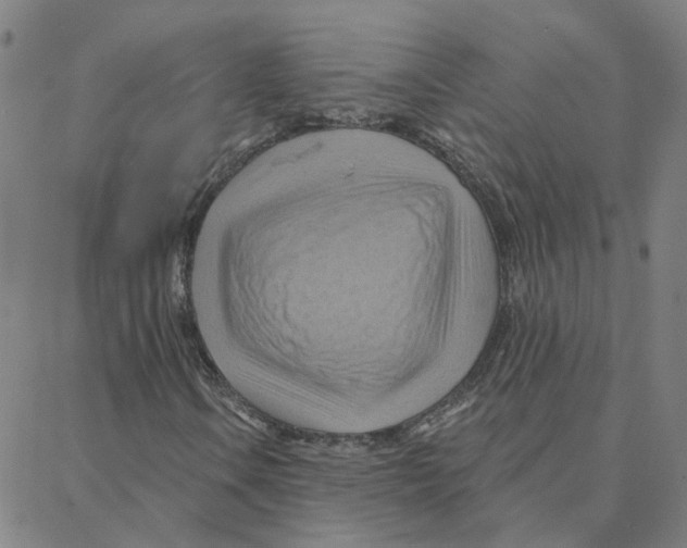 X0000088381106200706191301