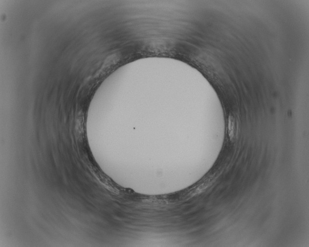 X0000088381107200706191301