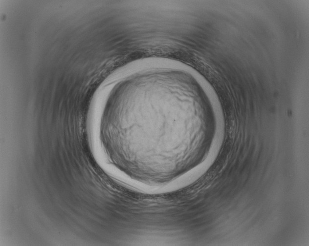 X0000088381108200706191301