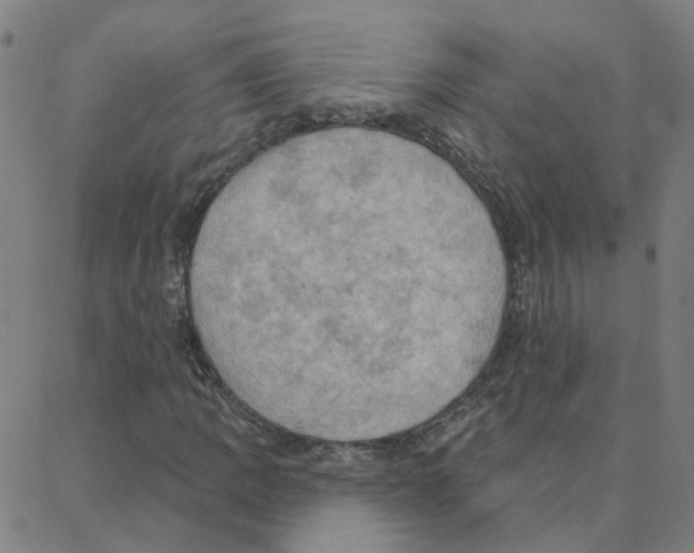 X0000088381109200706191301