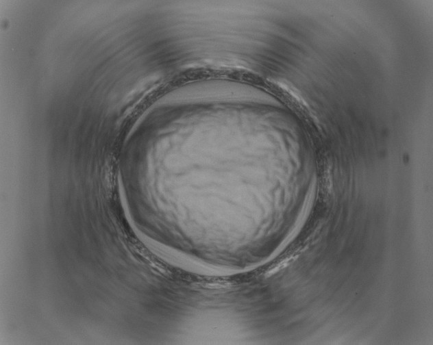 X0000088381110200706191301