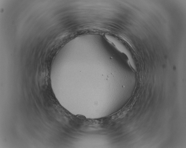 X0000088381111200706191301