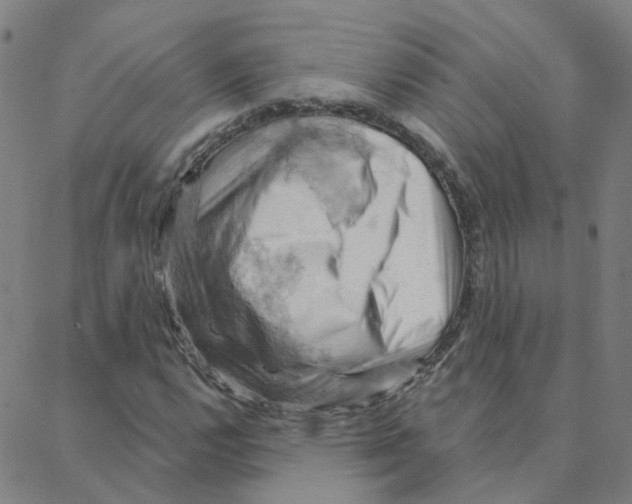 X0000088381112200706191301