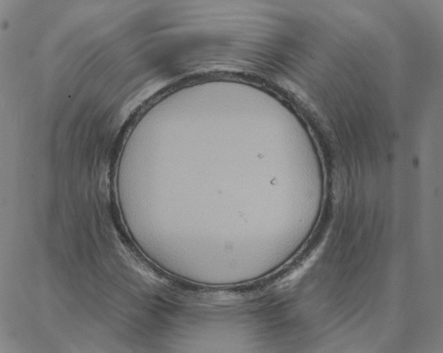 X0000088381113200706191301