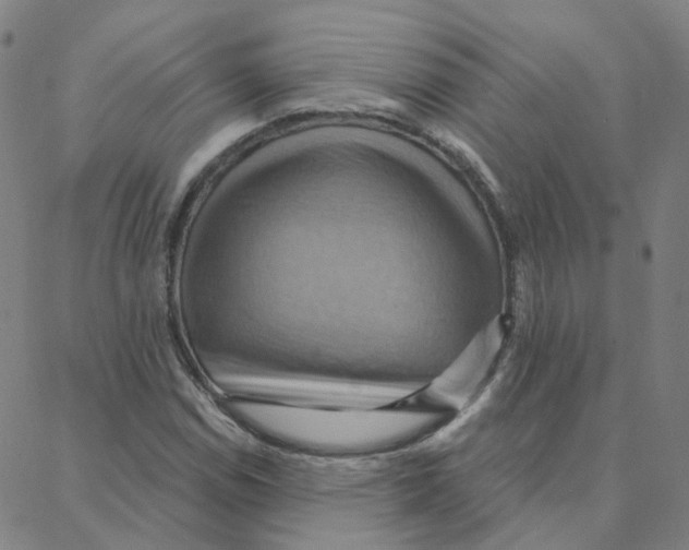 X0000088381114200706191301