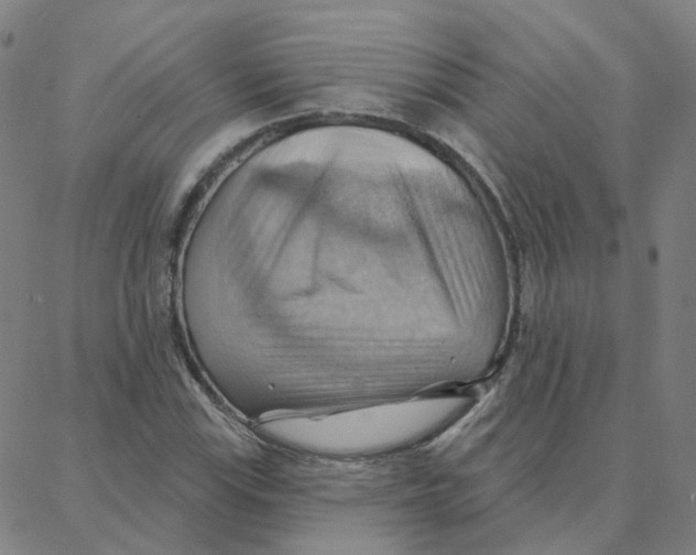 X0000088381115200706191301