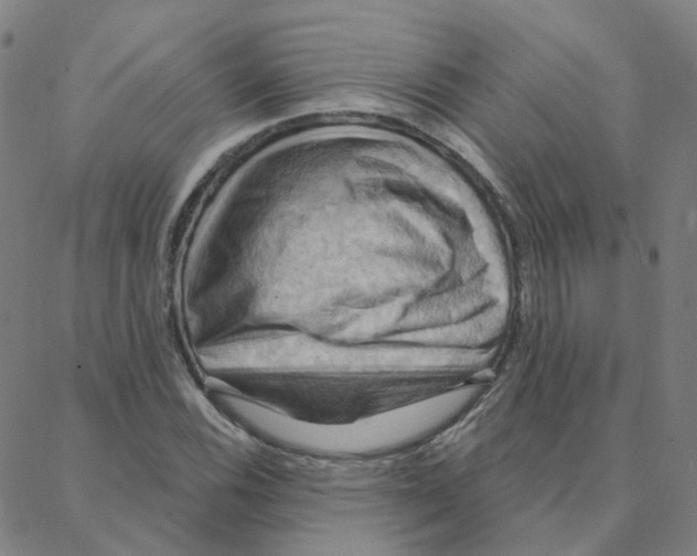 X0000088381116200706191301