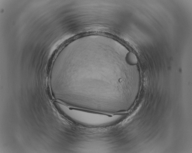 X0000088381117200706191301