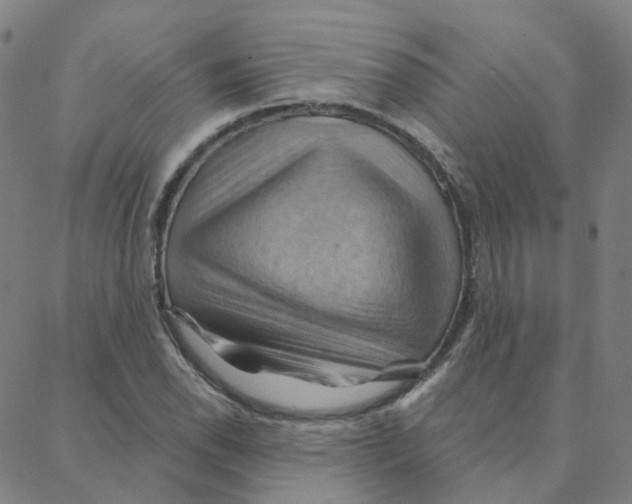 X0000088381118200706191301