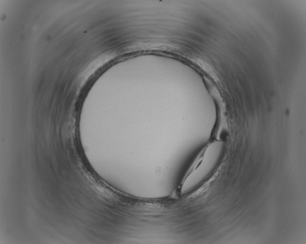 X0000088381119200706191301