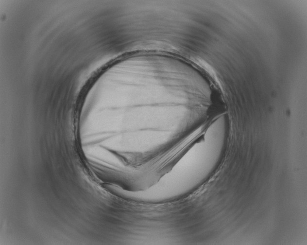 X0000088381120200706191301