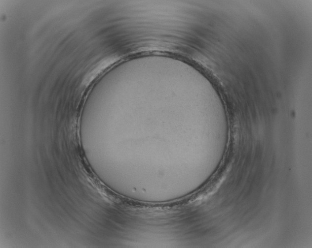 X0000088381121200706191301