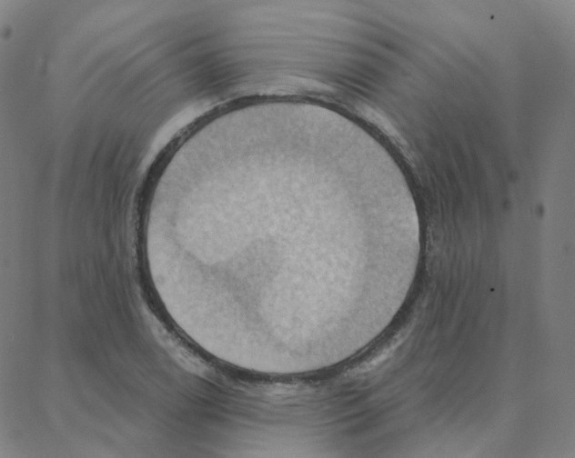 X0000088381122200706191301