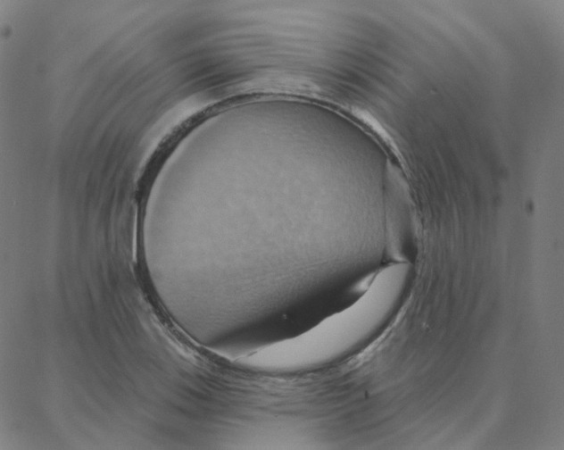 X0000088381123200706191301