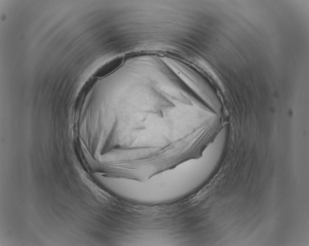 X0000088381124200706191301