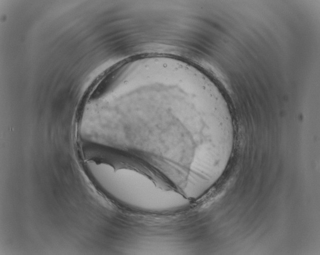 X0000088381125200706191301