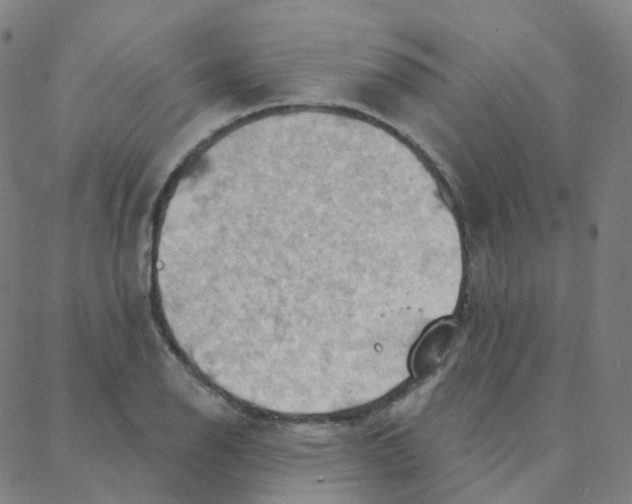 X0000088381126200706191301