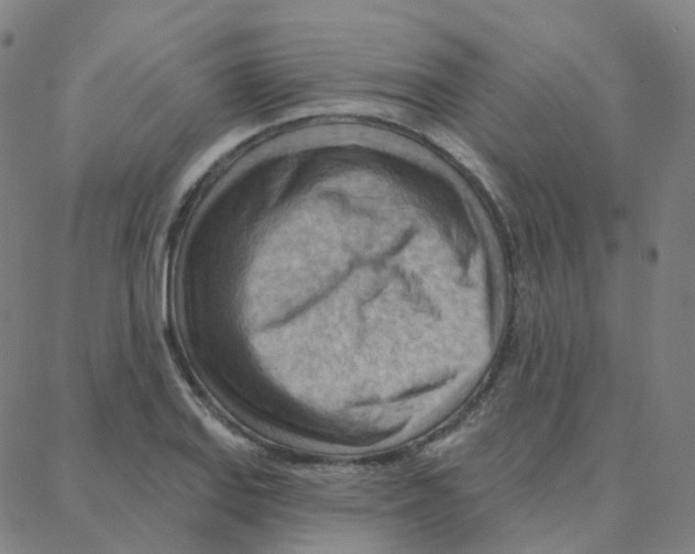 X0000088381127200706191301