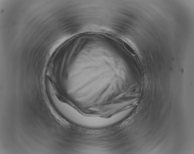 X0000088381128200706191301