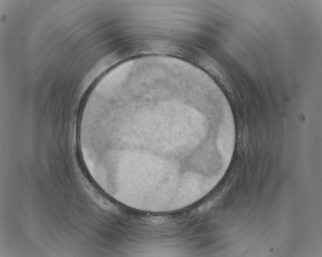 X0000088381130200706191301