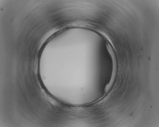 X0000088381131200706191301