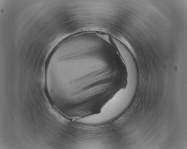 X0000088381132200706191301