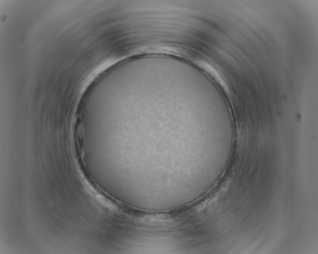 X0000088381133200706191301