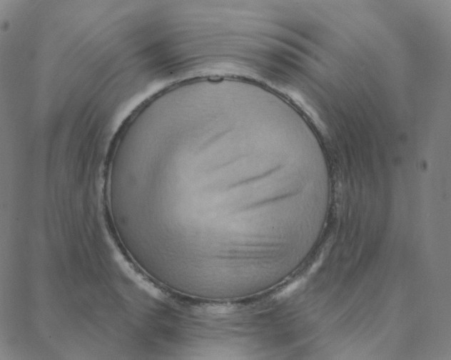 X0000088381134200706191301